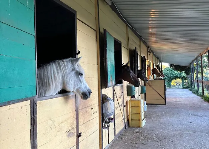 Prisma Κατάλυμα σε φάρμα